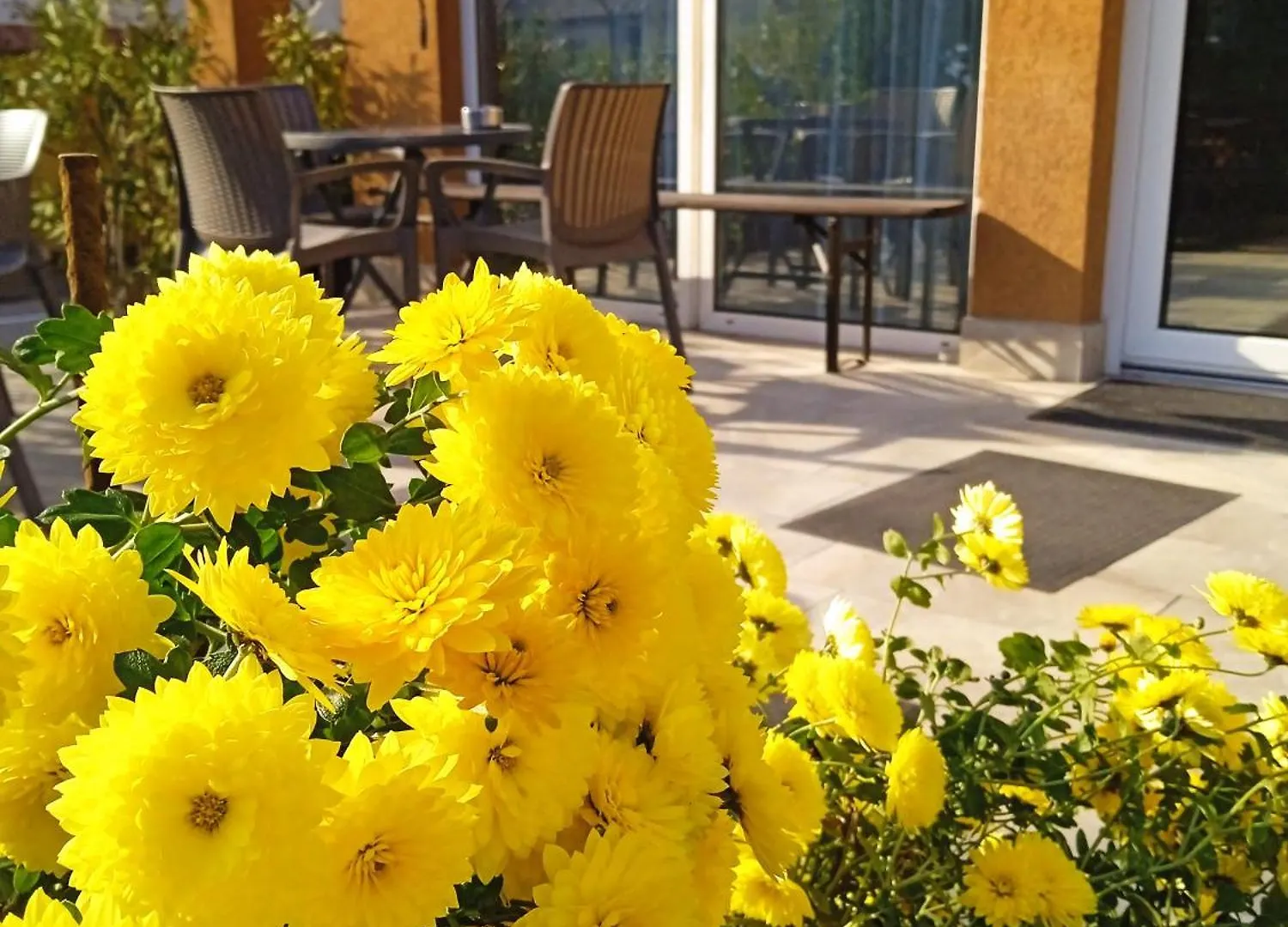Alfred Panzio Bed & Breakfast Budapest